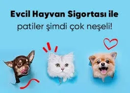 Evcil Hayvan Sigortası